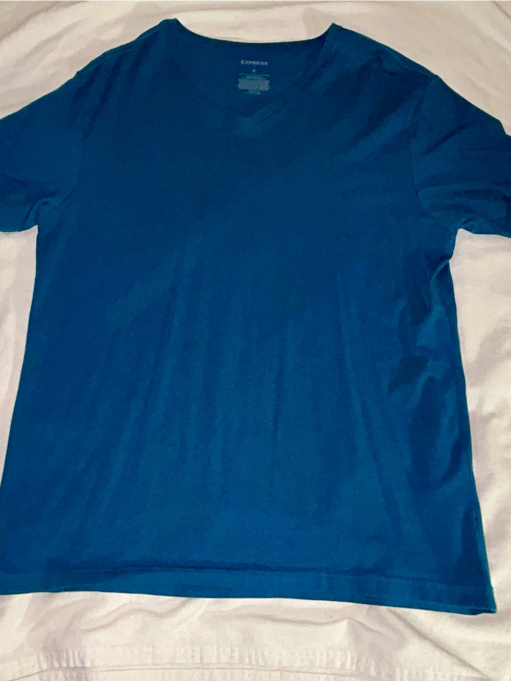 Express Men’s V-Neck T-Shirt in Teal